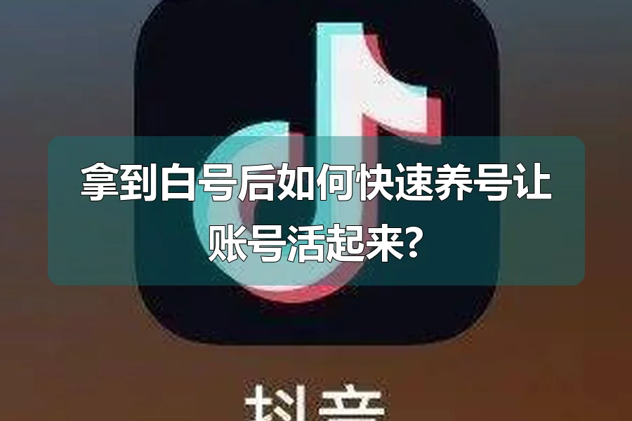 拿到白号后如何快速养号让账号活起来?